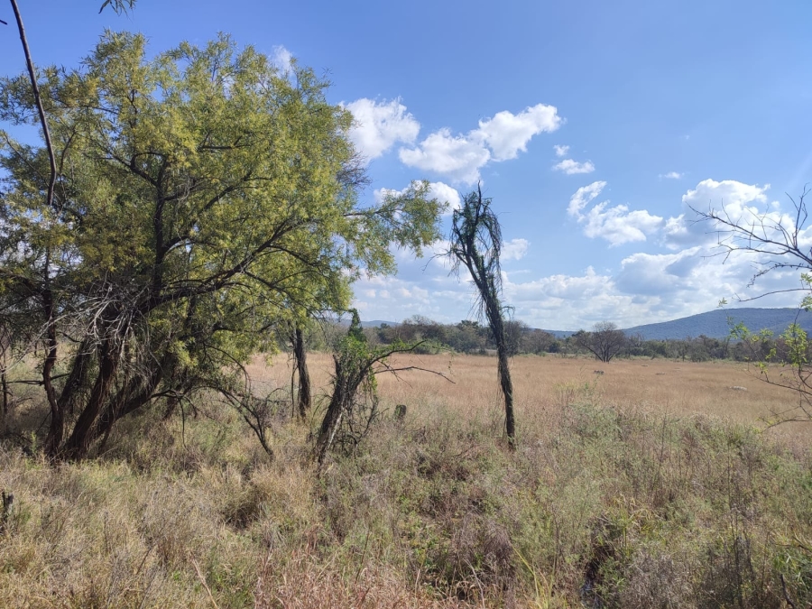 0 Bedroom Property for Sale in Zeerust North West
